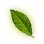 Diné's Resplendent Leaf