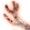 Bloodstained Ronaros Horn