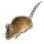 Mouse Found in the Box