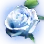 Moonlight Delotia