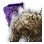 Giant Mudster Summon Scroll Piece