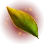 Caphras Leaf
