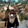 Shir's Clue: Pirate