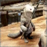 Shir's Clue: Sula Sula
