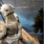 Shir's Clue: War