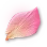 Pit-A-Pat Petal