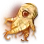 Eye That's Seen Beyond Death