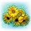 Shimmering Wildflower