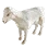 Captured Sheep