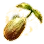 Fleshsari Flower Seed