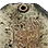 Ancient Slate Fragment