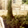 Piece of Leordo Dias' Painting #8