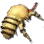 Parasitic Bee Larva