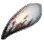 Sturdy Fang