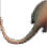 Serendia Rat Tail