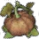 Pumpkin Vine