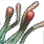Withered Plant Stem