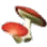 Orc's Red Mushroom