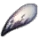 Blood Wolf Tooth