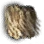 Bunch of Loose Mane Hair