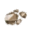 Rock Fragment