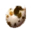 Broken Desert Fogan Egg