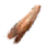 Weathered Bone Fragment
