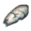 Dull Fang