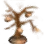 Old Tree Spirit's Token