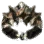 Shattered Ring