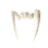 Black Leopard Fang