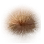 Gazelle Fur