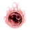 Mutant Enhancer