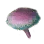 Mushroom Hypha