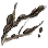 Mud Stained Branch