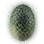[Pet] Dragon Egg Fossil