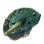 Protty Fin