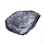 Young Sea Monster's Scale