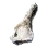 Young Candidum's Bone Fragment