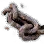 Rusty Anchor