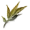 Faded Obsidian Spirit Leaf