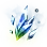 Tear of Illusion
