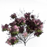 [Manor] Light Pink Azalea