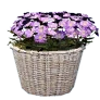 Spring Picnic Flower Pot J