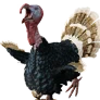 [Event] Stuffed Greedy Turkey