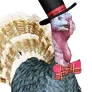 Golden Sunset Turkey Decor
