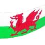 [Event] Welsh Flag