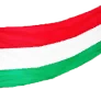 [Event] Hungarian Flag