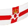 [Event] Northern Irish Flag