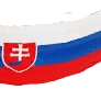 [Event] Slovakian Flag